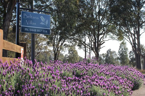 Beltana Villas - Grafton Accommodation 10