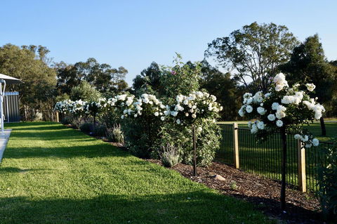 Beltana Villas - Grafton Accommodation 2