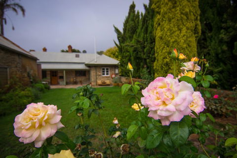 Grand Cru Estate Homestead - Grafton Accommodation 8