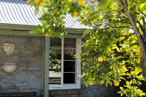 Grand Cru Estate Homestead - Grafton Accommodation 10
