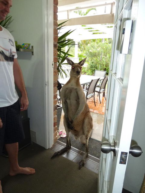 Aston Motel Yamba - Grafton Accommodation 10