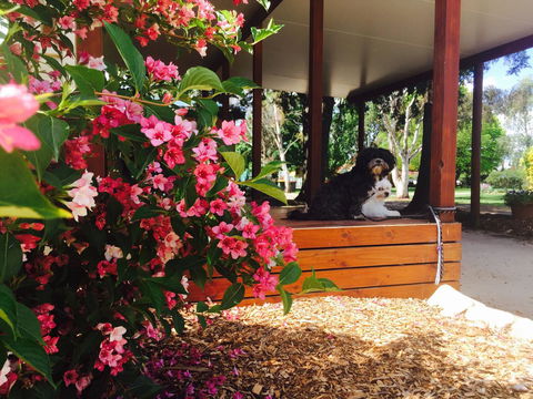 Armidale Tourist Park - Grafton Accommodation 34