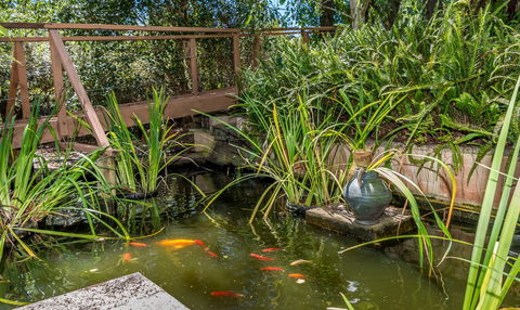 Chimes Spa Retreat - Grafton Accommodation 27