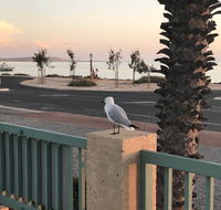 Shark Bay Seafront Apartments - Grafton Accommodation