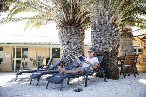 Shark Bay Seafront Apartments - Grafton Accommodation 22