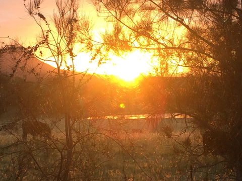 Grapevines Boutique Accommodation - Grafton Accommodation 27