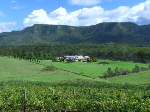 Grapevines Boutique Accommodation - Grafton Accommodation 23