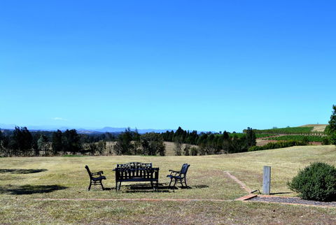 Grapevines Boutique Accommodation - Grafton Accommodation 18