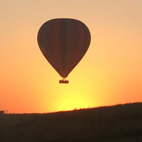 Grapevines Boutique Accommodation - Grafton Accommodation 13