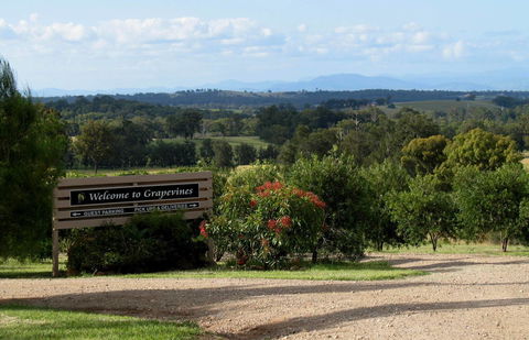 Grapevines Boutique Accommodation - Grafton Accommodation 15