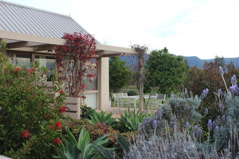 Grapevines Boutique Accommodation - Grafton Accommodation 28