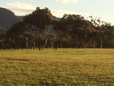 Grapevines Boutique Accommodation - Grafton Accommodation 26