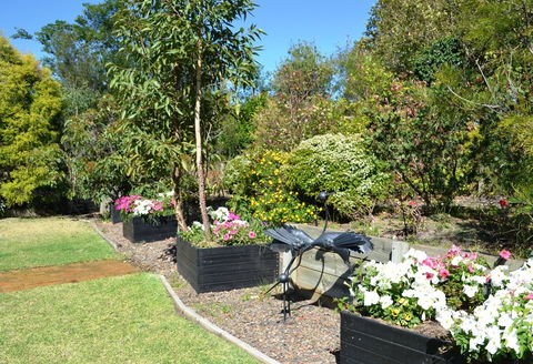 Grapevines Boutique Accommodation - Grafton Accommodation 17