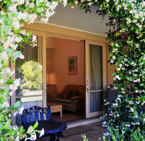Grapevines Boutique Accommodation - Grafton Accommodation 7