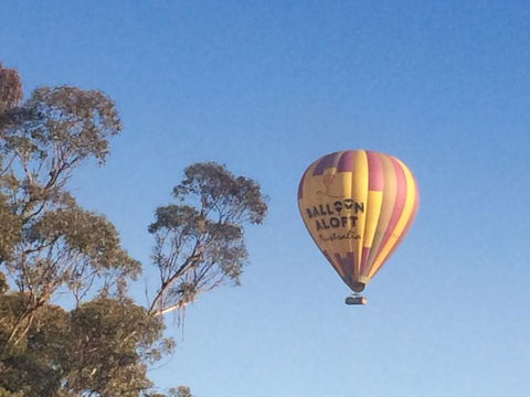 Grapevines Boutique Accommodation - Grafton Accommodation 12