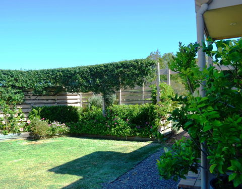 Grapevines Boutique Accommodation - Grafton Accommodation 14