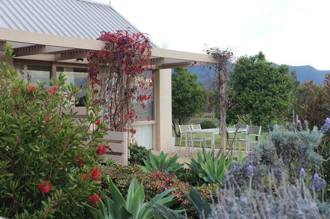 Grapevines Boutique Accommodation - Grafton Accommodation 24