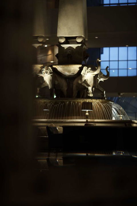 Residence On Langley Park - Grafton Accommodation 30