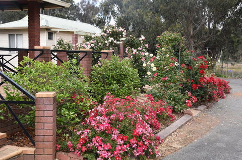 Mount Barker Valley Views Motel & Chalets, Western Australia - Grafton Accommodation 26