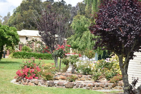 Mount Barker Valley Views Motel & Chalets, Western Australia - Grafton Accommodation 28