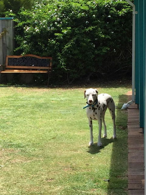 Beachside Prevelly Villas - Grafton Accommodation 31