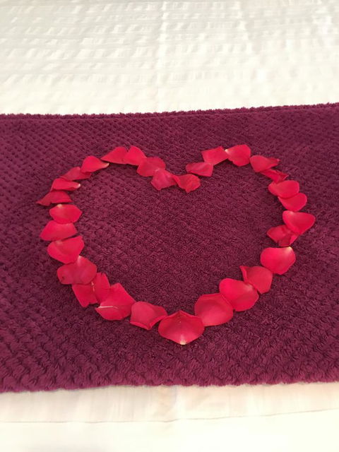 Nelson Bay Bed & Breakfast - Grafton Accommodation 4