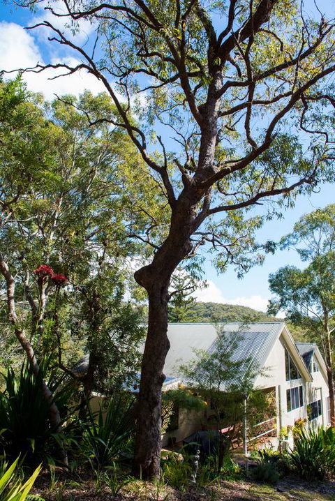 Nelson Bay Bed & Breakfast - Grafton Accommodation 42