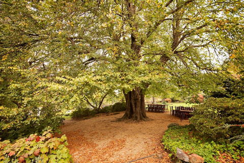 Nesuto Leura Gardens (formerly Waldorf Leura Gardens Resort) - Grafton Accommodation 1