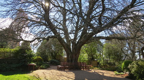 Nesuto Leura Gardens (formerly Waldorf Leura Gardens Resort) - Grafton Accommodation 3