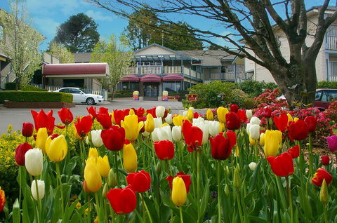Nesuto Leura Gardens (formerly Waldorf Leura Gardens Resort) - Grafton Accommodation 0