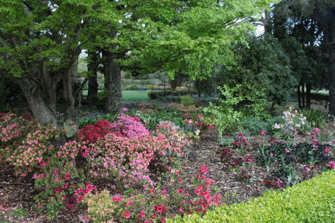 Nesuto Leura Gardens (formerly Waldorf Leura Gardens Resort) - Grafton Accommodation 2