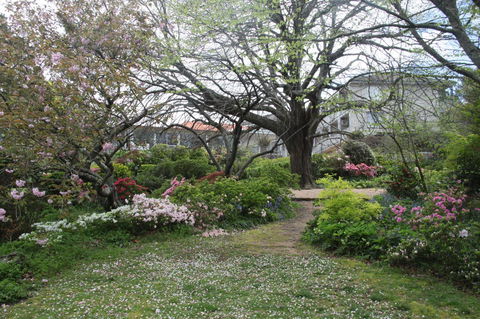 Nesuto Leura Gardens (formerly Waldorf Leura Gardens Resort) - Grafton Accommodation 4