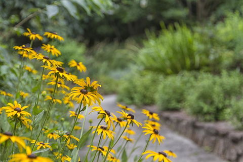 Nesuto Leura Gardens (formerly Waldorf Leura Gardens Resort) - Grafton Accommodation 16