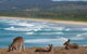 High Tide At Emerald - thumb 13