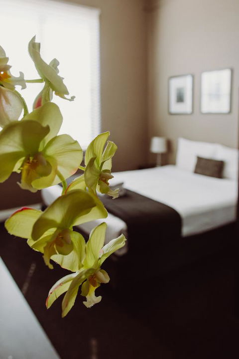 Crossroads Hotel - Grafton Accommodation 11