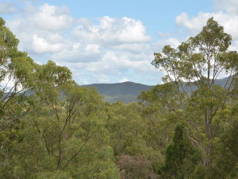 Villa Executive 2br Cypress DS Located Within Cypress Lakes Resort - Grafton Accommodation 8