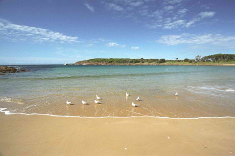 On The Beach Getaway - Grafton Accommodation 12