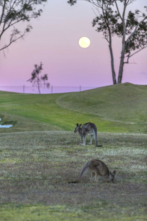 Oaks Cypress Lakes Resort - Grafton Accommodation 28