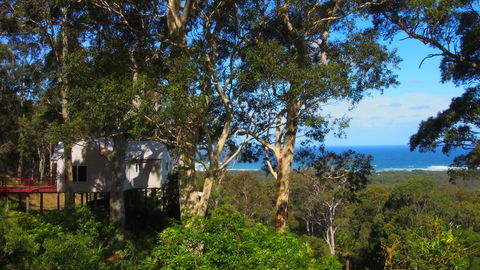 Bundle Hill Cottages - Grafton Accommodation 7