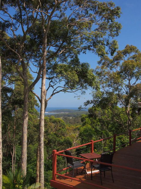 Bundle Hill Cottages - Grafton Accommodation 3