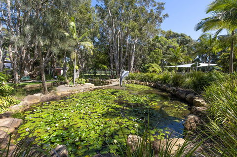 Flynns Beach Resort - Grafton Accommodation 8