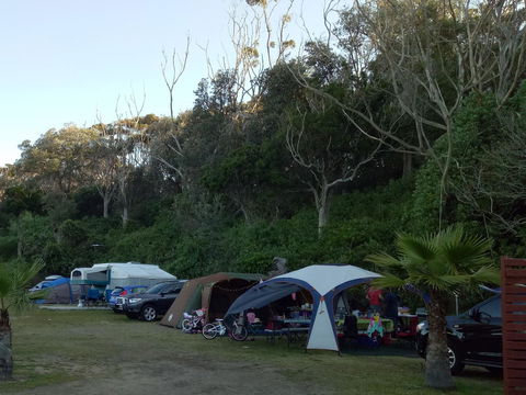 Blue Lagoon Beach Resort - Grafton Accommodation 19
