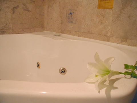 Novotel Sydney Brighton Beach - Grafton Accommodation 11