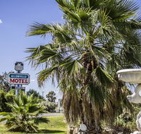 Allonville Gardens Motel - Grafton Accommodation