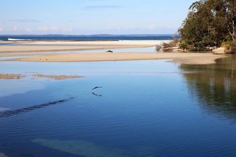 Jervis Bay Beach Shack I Pet Friendly - Grafton Accommodation 19