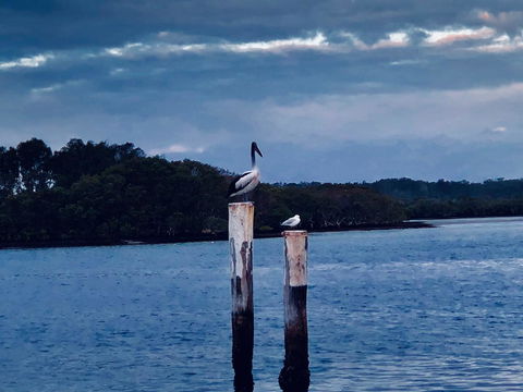 Boathouse Resort (Water Front) - Grafton Accommodation 15