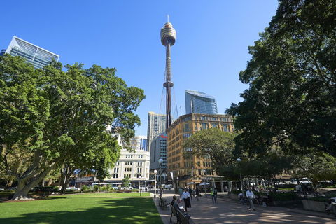 Pullman Sydney Hyde Park - Grafton Accommodation 17