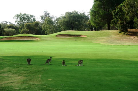 Mulwala Resort - Grafton Accommodation 40