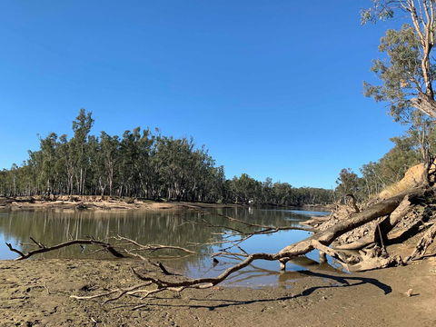 Corowa Bindaree Holiday Park - Grafton Accommodation 1