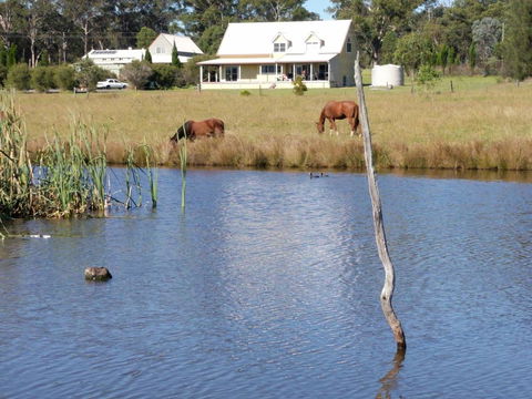 Madigan Wine Country Cottages - Grafton Accommodation 2